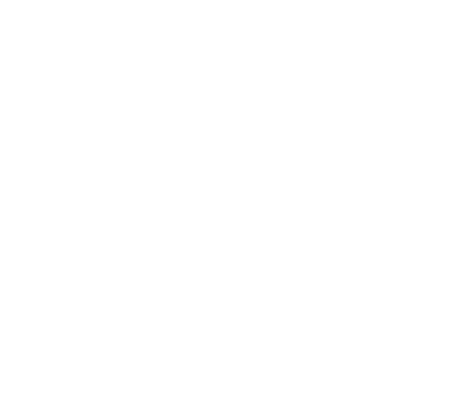 Icon Checklist